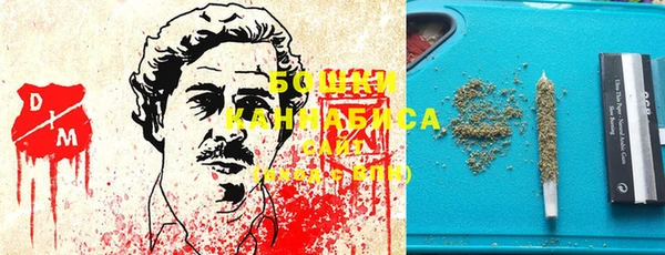 ГАЛЛЮЦИНОГЕННЫЕ ГРИБЫ Балабаново