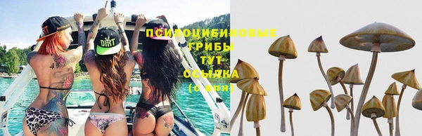 синтетический гашиш Баксан